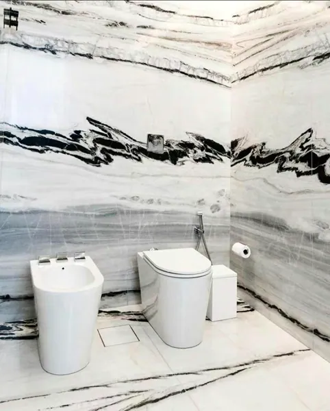 Bathroom and kitchen in white with black veins