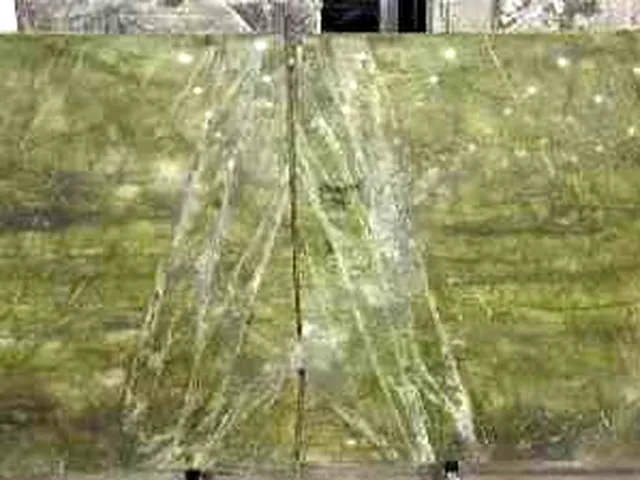 Alga Green