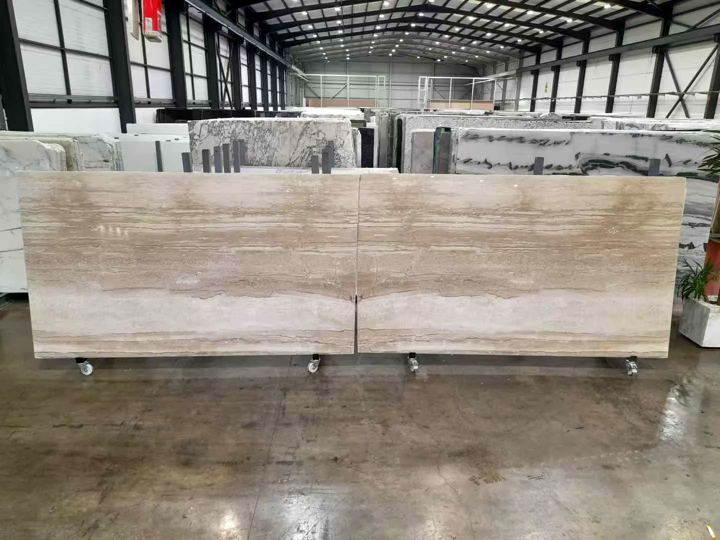 Daino Marble: real slab in our warehouse