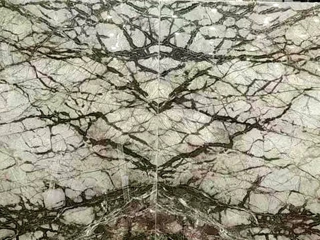 Grey Root