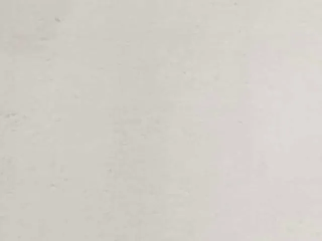 Vietnam White